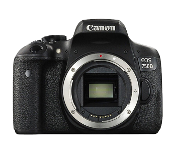 佳能/CANON  EOS 750D 单反相机 1、品牌：佳能； 2、型号：佳能750D； 3、类型：入门 ；4、产品尺寸（mm）：131.9×100.7×77.8mm ；5、产品净重（g）：510 ；6、传感器类型：CMOS 7、有效像素：2400万